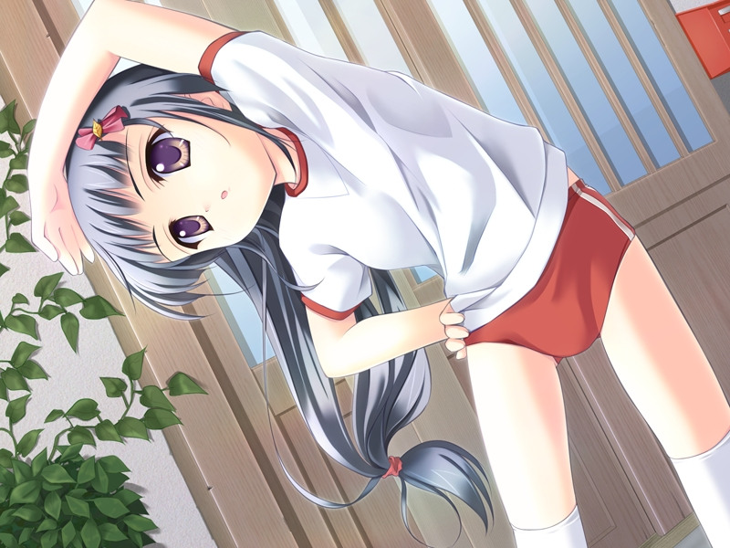 takoyaki (roast), saotome yukiko, tangent, silver hair, game cg, 1girl, :o, black eyes, black hair, blue hair, buruma, child, dutch angle, female focus, gym uniform, hair ornament, hand on own hip, long hair, low-tied long hair, purple eyes, solo, stretching