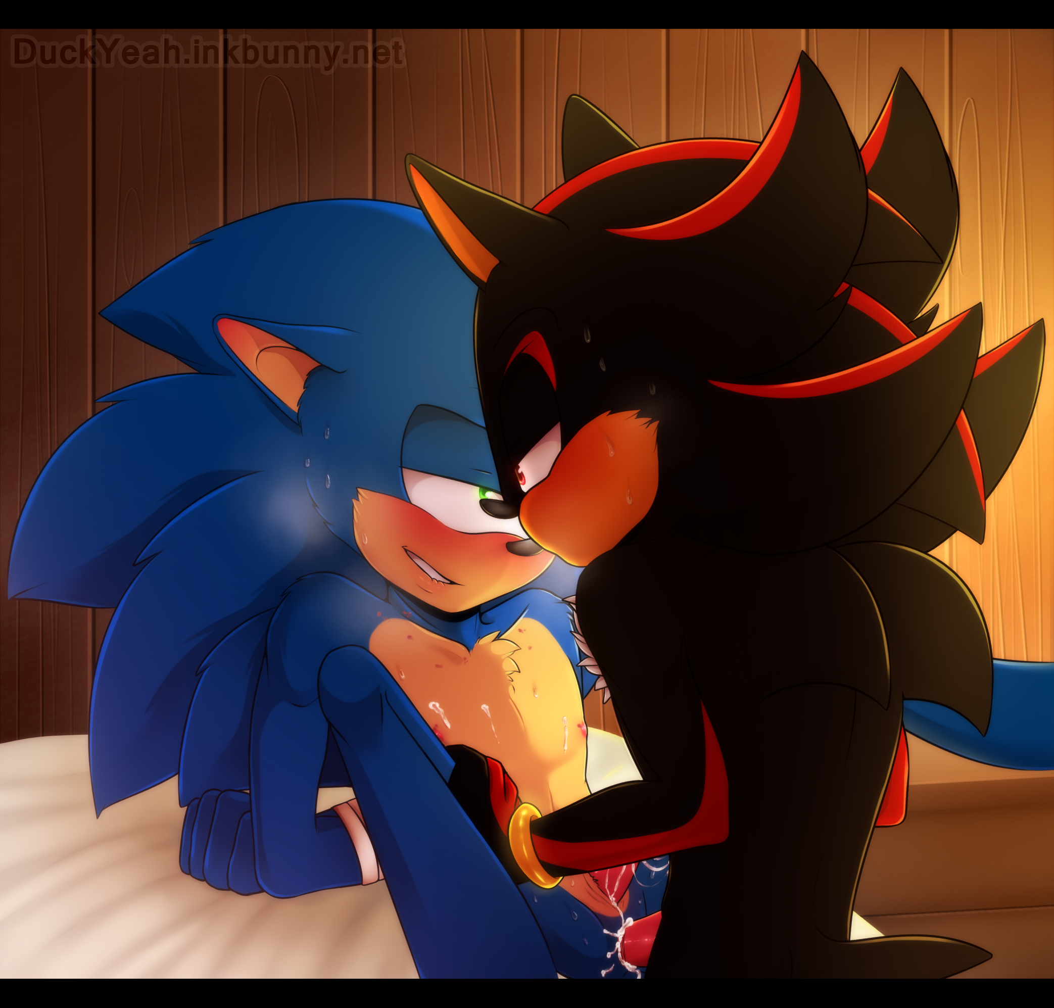 Rule34 – If it exists, there is porn of it / duckyeah, shadow the hedgehog, sonic the hedgehog / 184773