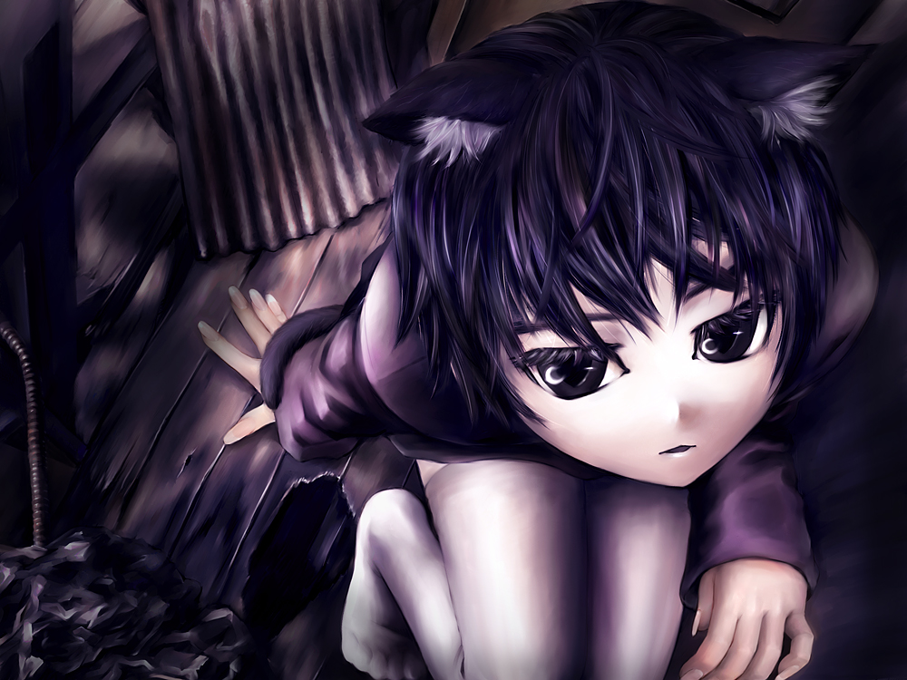 kizawa hiroto, original, animal ears, black hair, cat ears, grey eyes, slit pupils, solo, thighhighs
