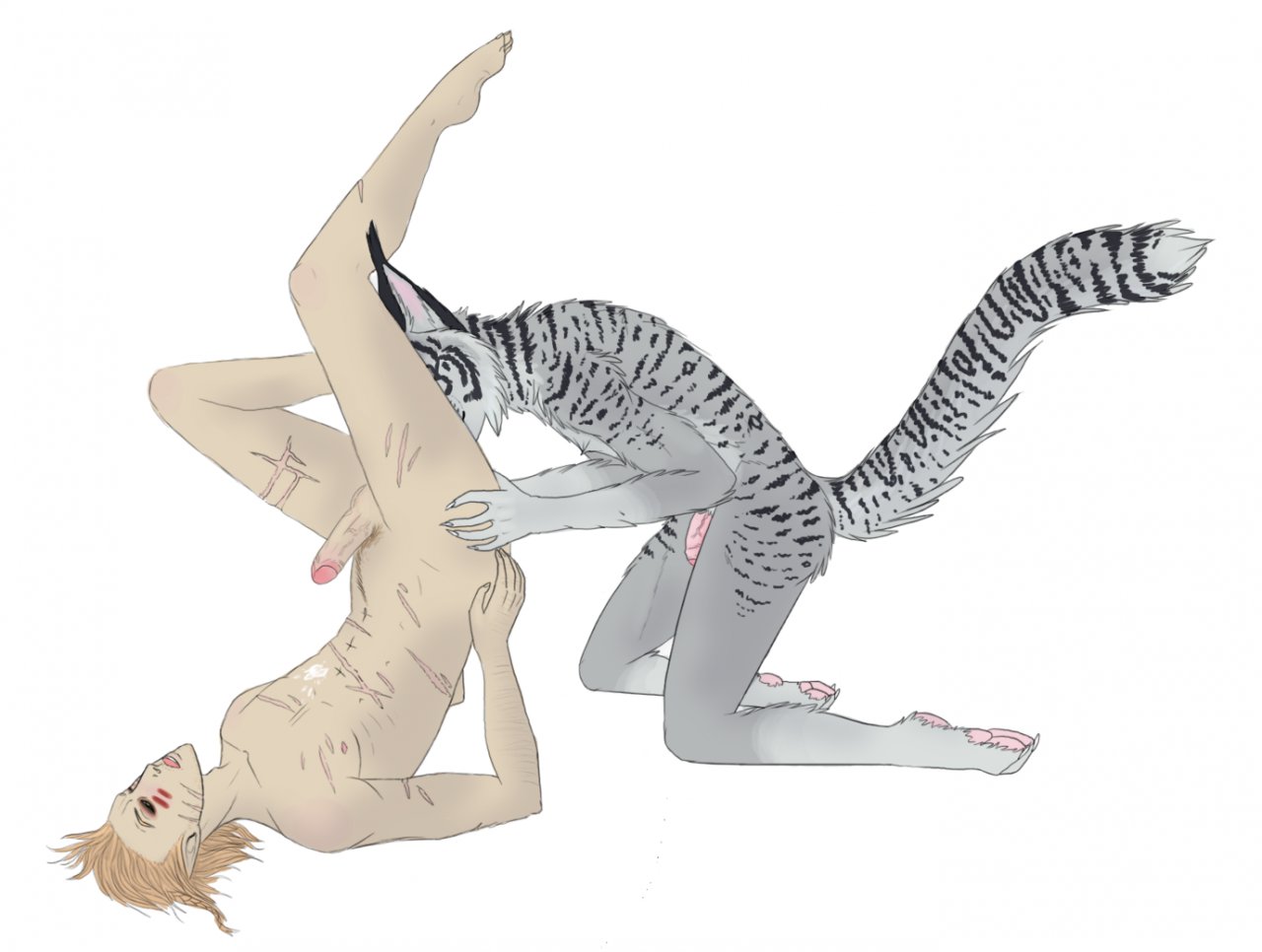 Rule34 – If it exists, there is porn of it / mangokitten, khajiit / 185285