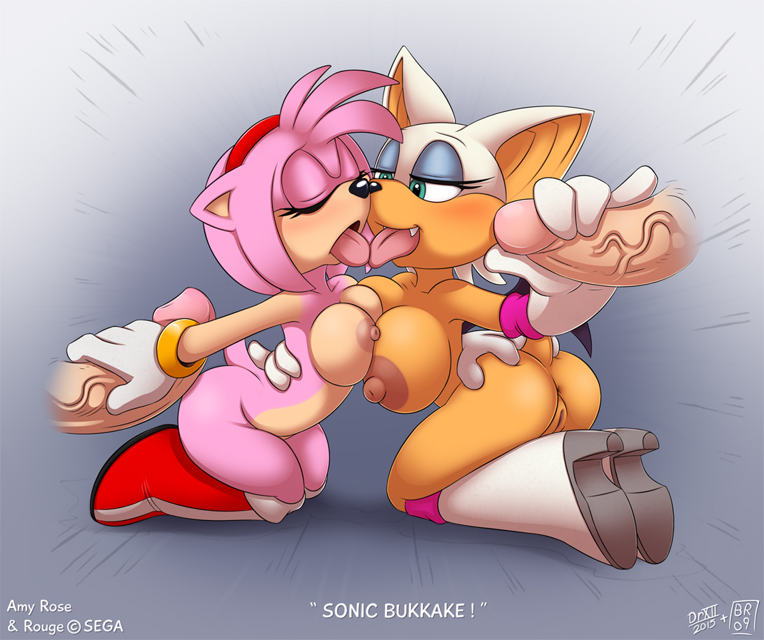 Rule34 – If it exists, there is porn of it / drxii, max blackrabbit, amy rose, rouge the bat / 185362