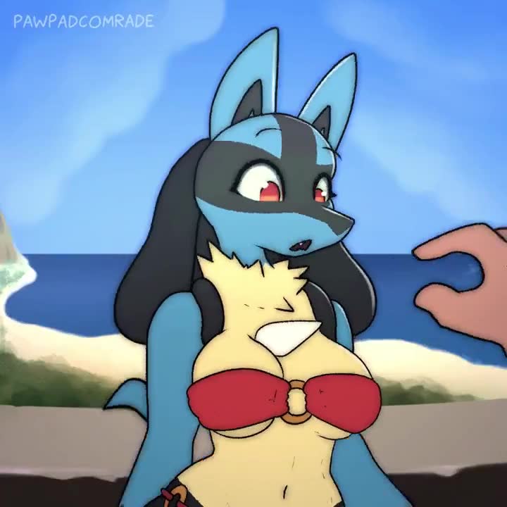 Rule34 – If it exists, there is porn of it / pawpadcomrade, lucario, pokemon (species) / 8671762