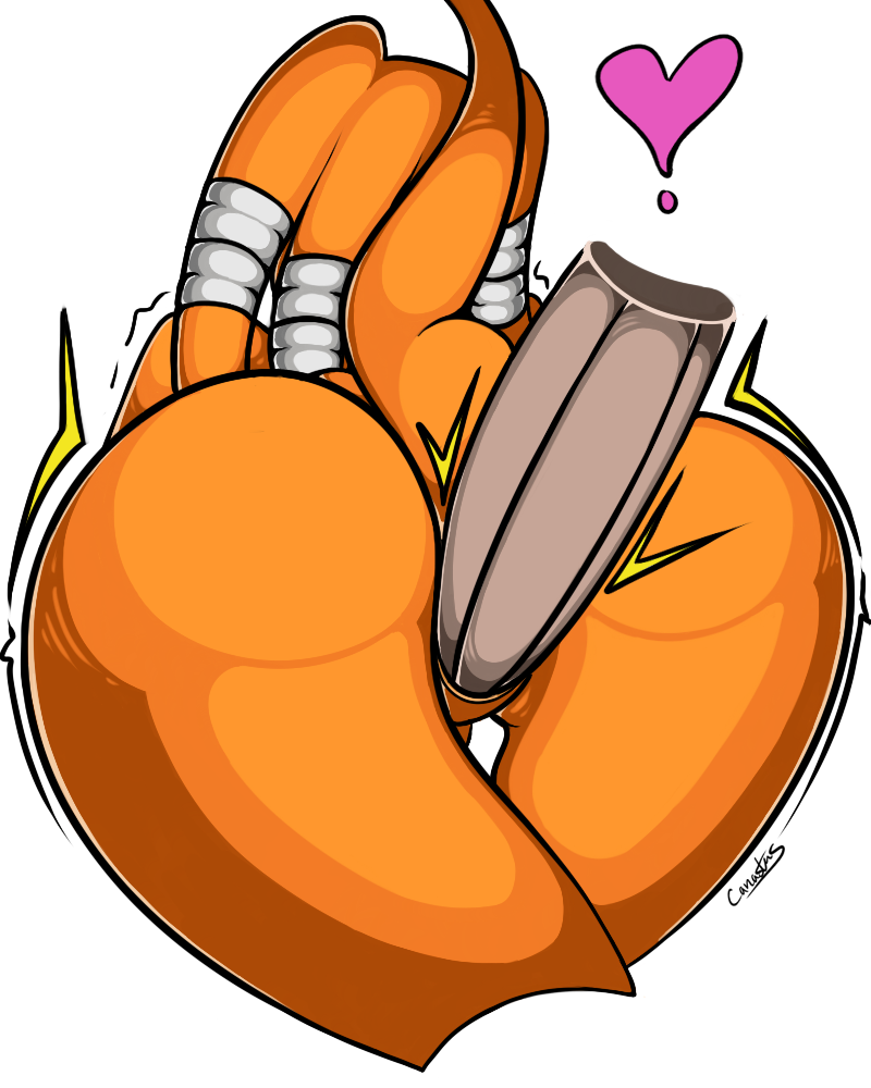 Rule34 – If it exists, there is porn of it / canastus, tikal the echidna / 186443