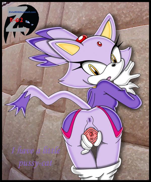 blaze the cat, sonic (series), furry, pussy, spread pussy