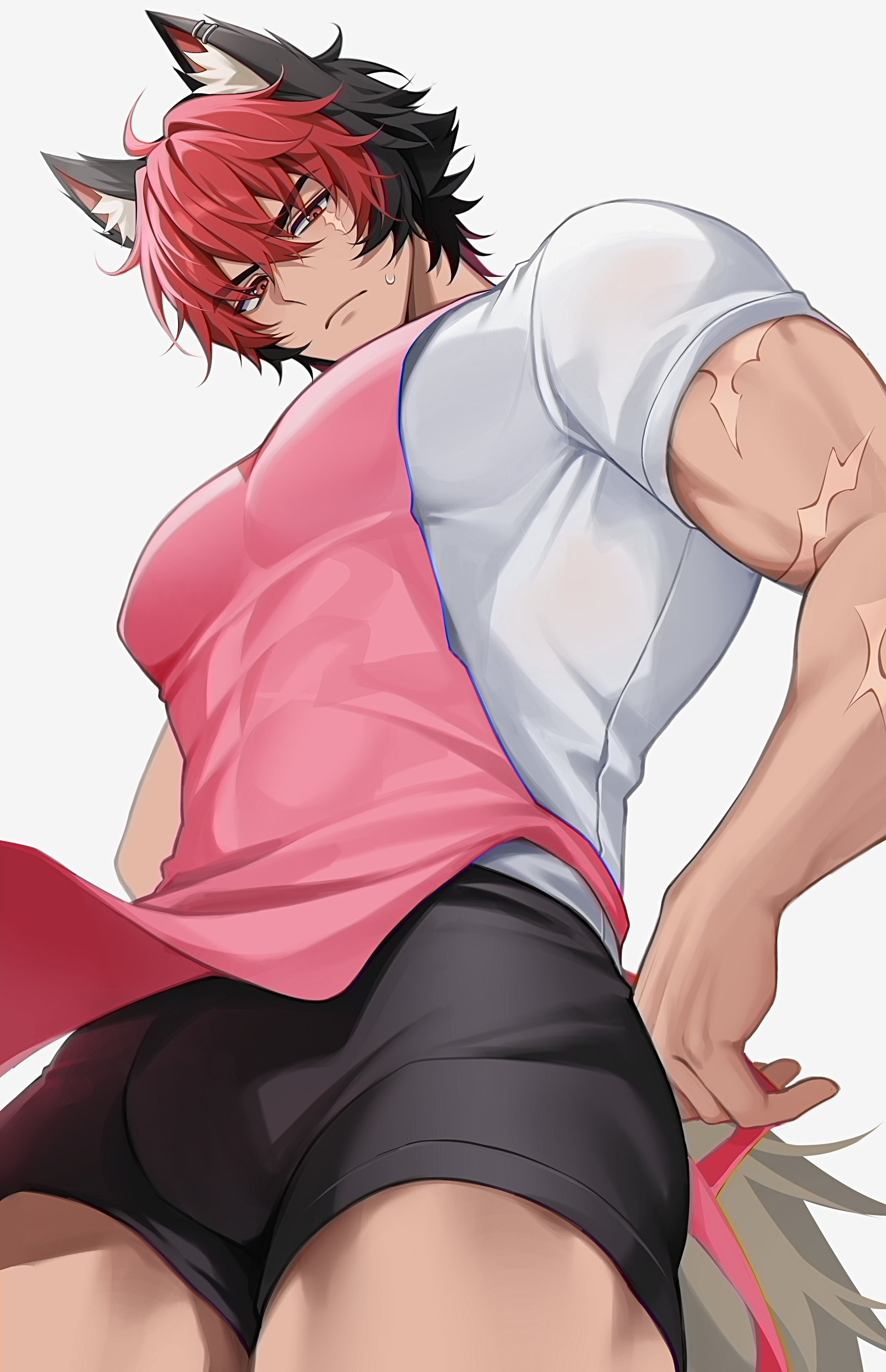 solcha, komano manato, zenless zone zero, absurdres, highres, 1boy, animal ear fluff, animal ears, apron, black hair, black male underwear, boxers, bulge, dog boy, from below, male focus, male underwear, multicolored hair, multiple scars, muscular, muscular male, pectorals, pink apron, red eyes, red hair, scar, scar on arm, scar on face, shirt, simple background, solo, two-tone hair, underwear, white background, white shirt