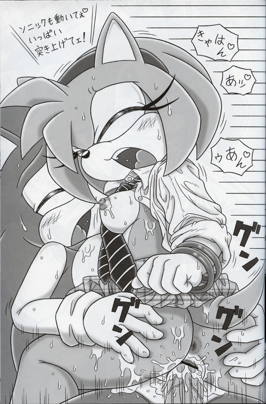 Rule34 – If it exists, there is porn of it / mitsuharu takura, amy rose, sonic the hedgehog / 187245