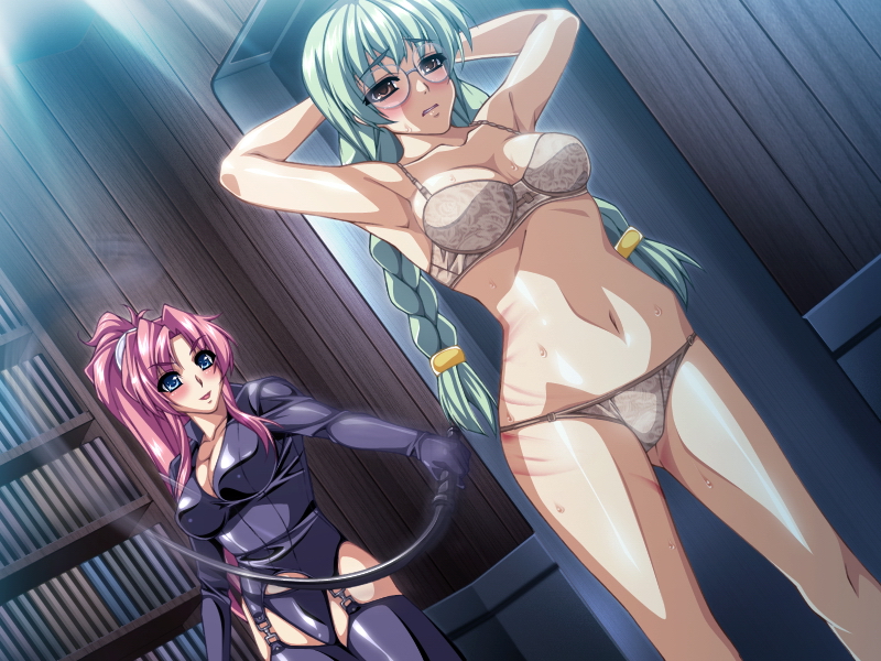 kuroishi ringo, monica brian, nora stuart, liquid (company), ryoujoku guerilla gari, ryoujoku guerilla gari 3, game cg, 00s, 2girls, armpits, arms up, bdsm, blue eyes, blush, book, bra, braid, breasts, brown eyes, cleavage, dutch angle, garter belt, green hair, grey panties, large breasts, lingerie, long hair, multiple girls, panties, pink hair, sweat, thighhighs, twin braids, underwear, whip, whip marks, whipping