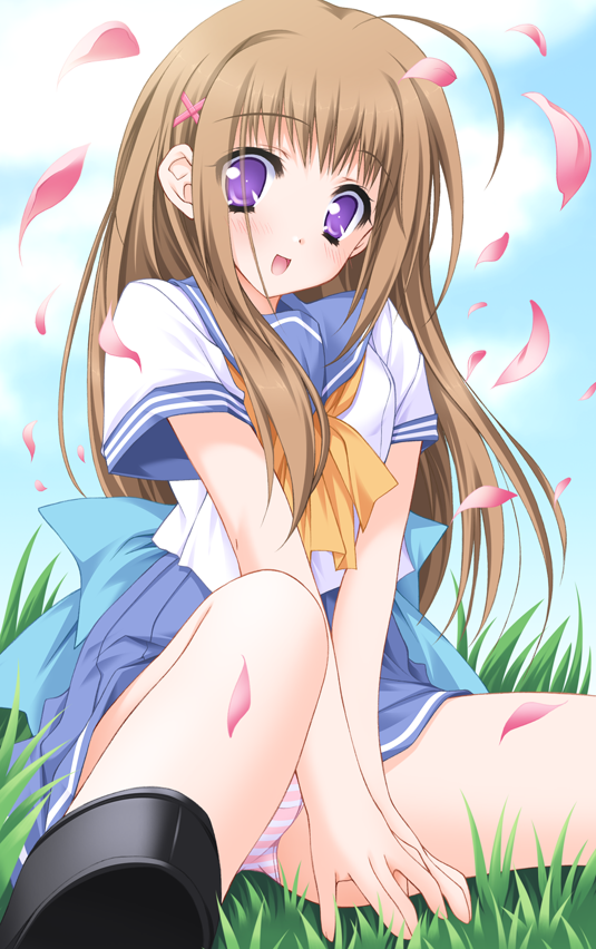 moekibara fumitake, non-web source, blush, brown hair, cherry blossoms, long hair, panties, pantyshot, petals, purple eyes, school uniform, serafuku, sitting, solo, spread legs, striped clothes, striped panties, underwear