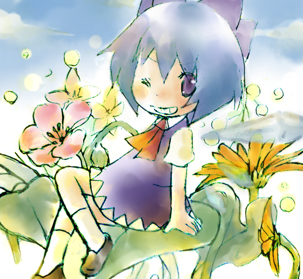 natsuno riku, cirno, phantasmagoria of flower view, touhou, bad id, bad pixiv id, 1girl, blue eyes, blue hair, chibi, circled 9, female focus, flower, matching hair/eyes, nature, one eye closed, outdoors, sky, solo, wings, wink