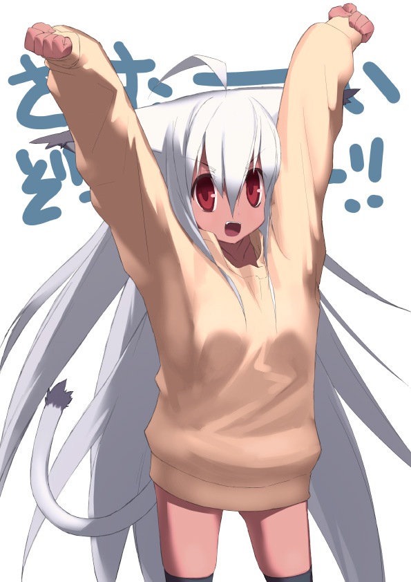 kusaka kokage, kokage-san, original, ahoge, animal ears, cat ears, cat tail, red eyes, solo, sweater, tail, thighhighs