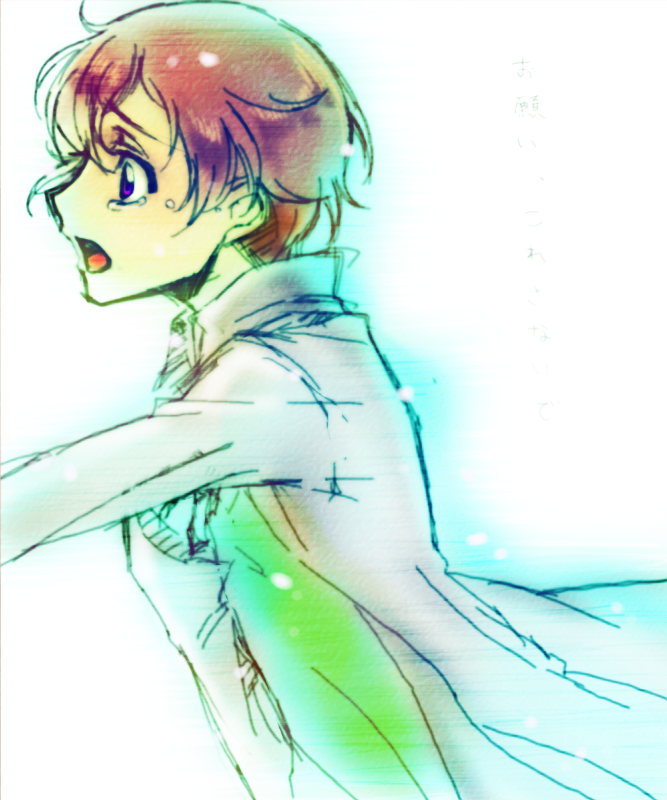 magukappu, rahit, rolo lamperouge, code geass, bad id, bad pixiv id, 00s, 1boy, brown hair, male focus, purple hair, solo, tears