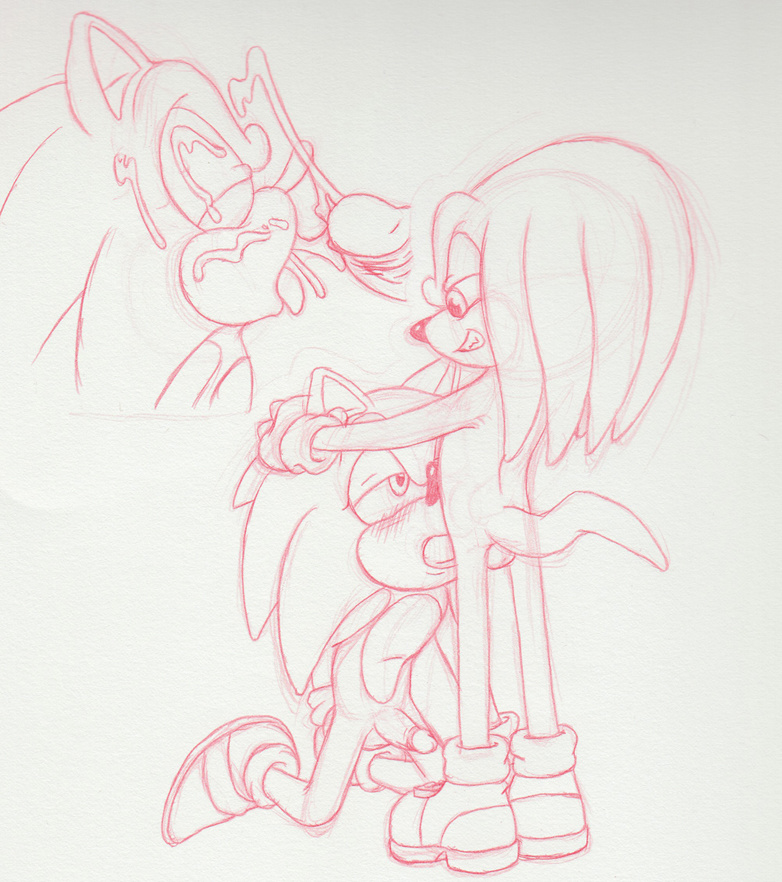 Rule34 – If it exists, there is porn of it / the other half, knuckles the echidna, sonic the hedgehog / 192380
