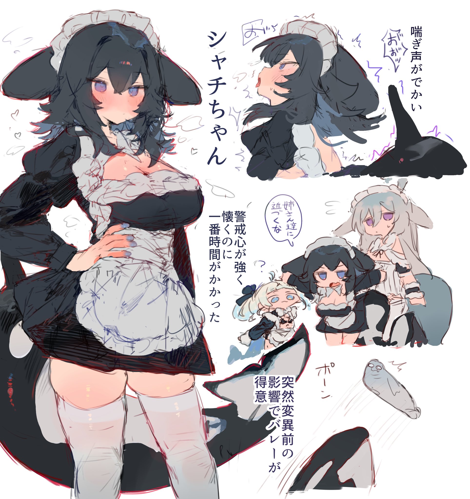 bunchi, original, commentary, highres, symbol-only commentary, translation request, 3girls, animal ears, apron, black dress, black hair, blue eyes, blush, breasts, cetacean tail, cleavage, cleavage cutout, closed mouth, clothing cutout, cowboy shot, double-parted bangs, dress, fins, fish tail, hair between eyes, large breasts, long hair, long sleeves, maid, maid headdress, medium hair, multiple girls, multiple views, open mouth, orca, orca girl, purple eyes, seal (animal), simple background, speech bubble, tail, thighhighs, tongue, tongue out, unconventional maid, waist apron, white apron, white background, white thighhighs