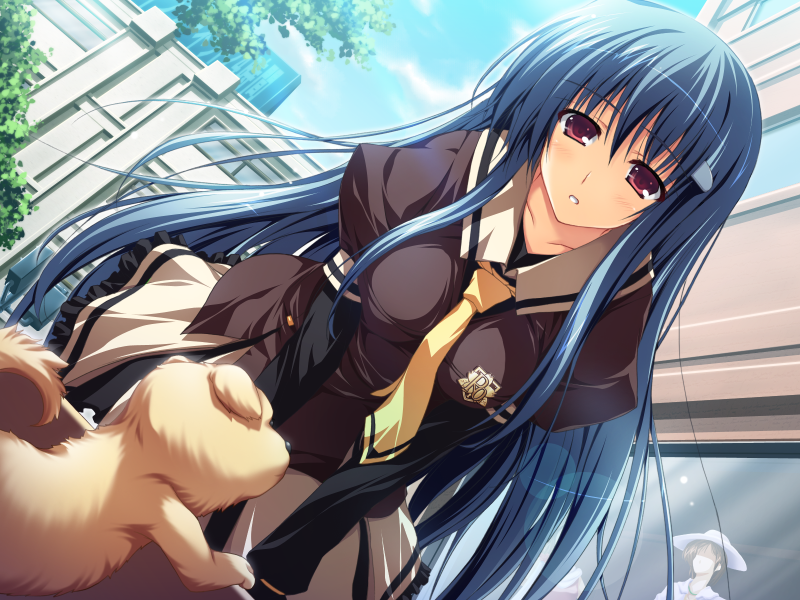 tomose shunsaku, kanzaki moe, akatsuki no goei, non-web source, blue hair, dog, dutch angle, leaning forward, long hair, red eyes, school uniform, solo