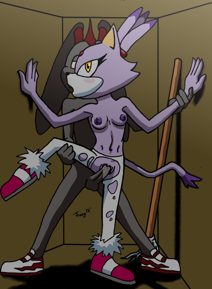 Rule34 – If it exists, there is porn of it / jimp, blaze the cat / 193663