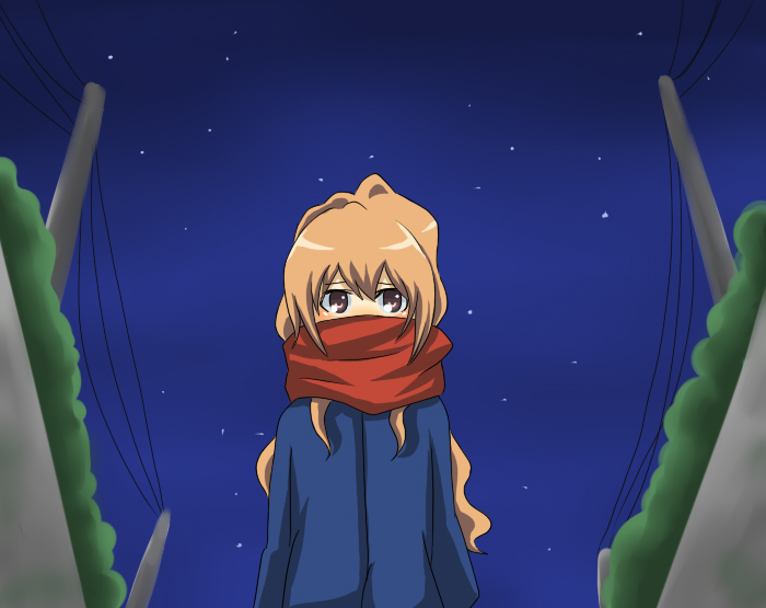 gakei, aisaka taiga, toradora!, bad id, bad pixiv id, 00s, brown eyes, brown hair, long hair, night, power lines, scarf, sky, solo, star (sky), star (symbol), starry sky