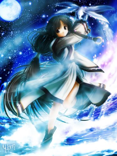 yukirin, eruruu, utawarerumono, light, jpeg artifacts, lowres, 00s, 1girl, animal ears, black hair, female focus, glowing, japanese clothes, long hair, moon, night, outdoors, ponytail, sky, solo, star (symbol), tail, water