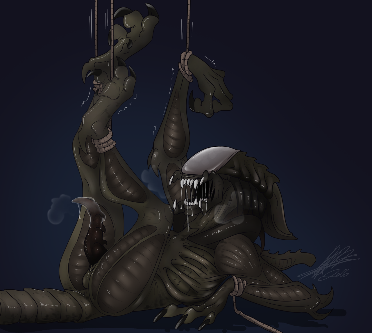 Rule34 – If it exists, there is porn of it / predalien, xenomorph / 194456