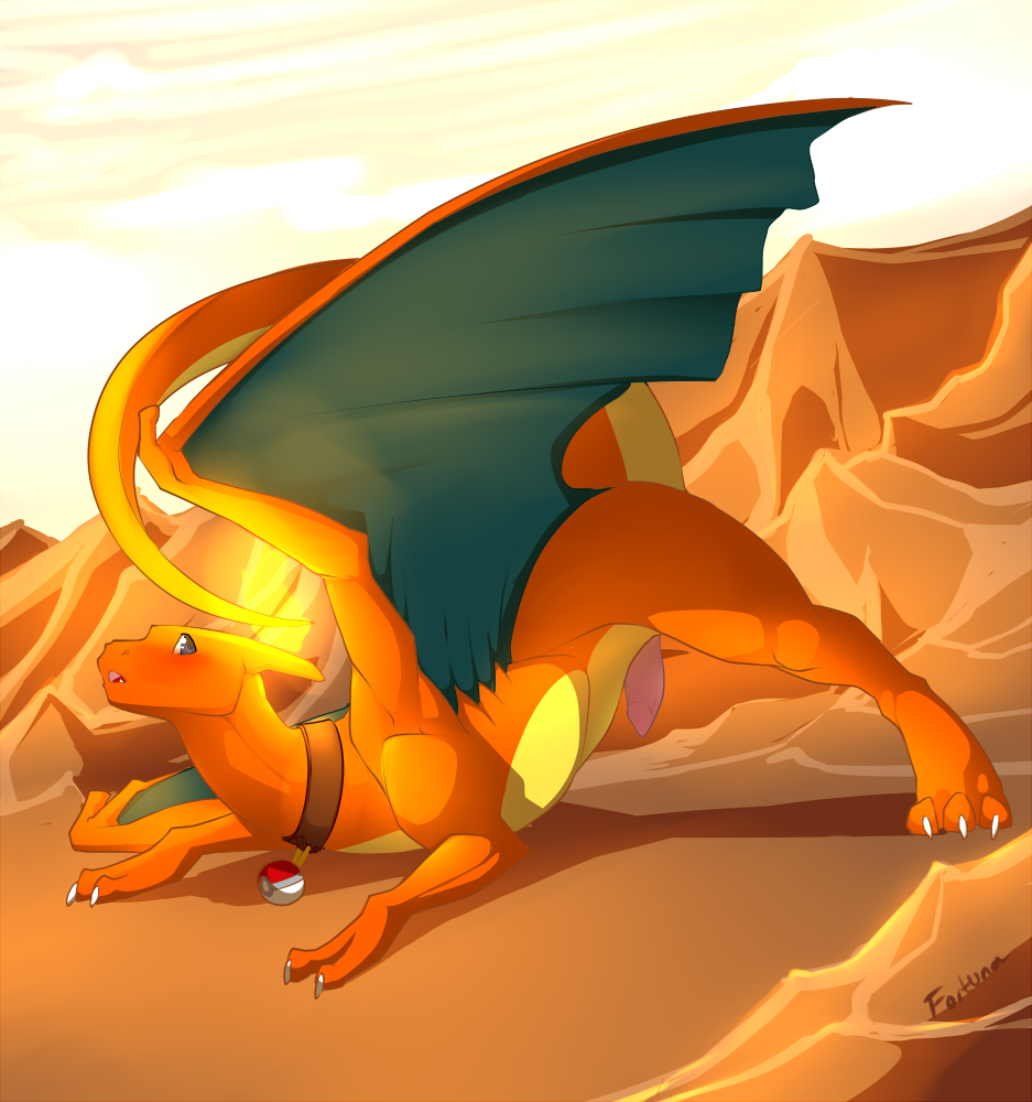 Rule34 – If it exists, there is porn of it / fortuna, charizard, havoc lustfang / 194479