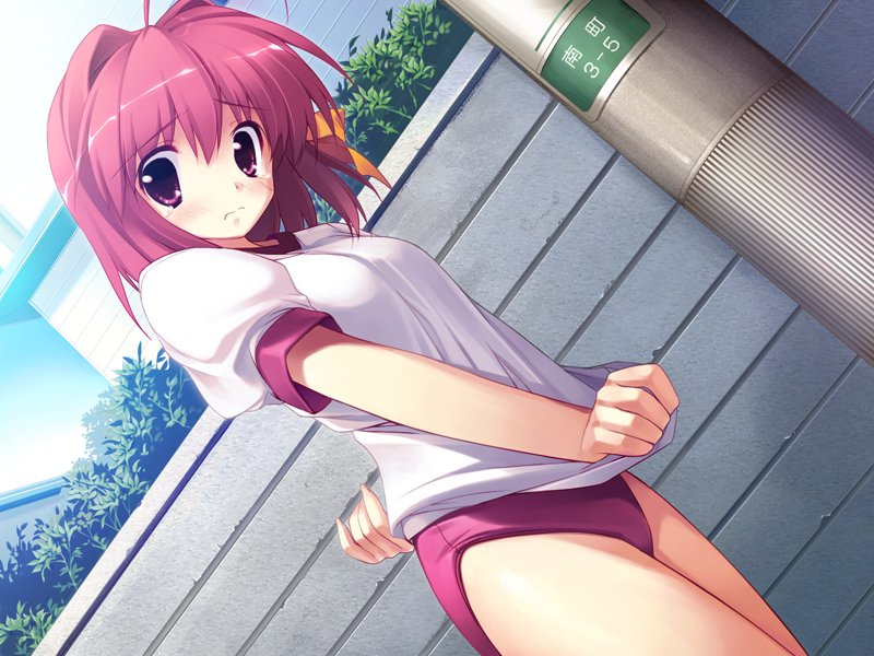 kiba satoshi, shiiha izumi, colorful aquarium, game cg, 1girl, blush, buruma, dutch angle, embarrassed, female focus, gym uniform, solo, tears