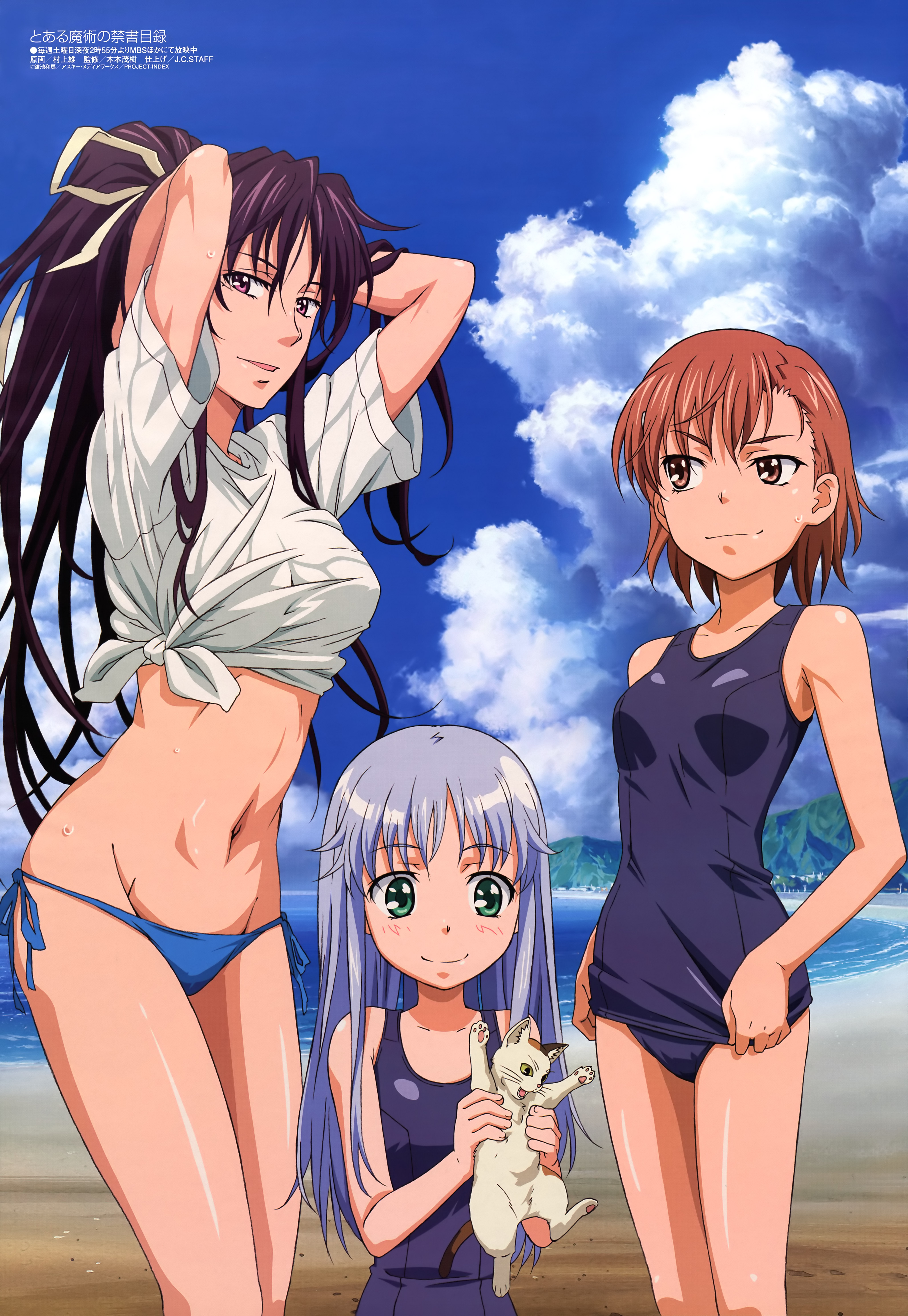 murakami yuu, index (toaru majutsu no index), kanzaki kaori, misaka mikoto, sphinx (toaru majutsu no index), megami magazine, toaru majutsu no index, silver hair, absurdres, highres, non-web source, official art, 00s, 3girls, arms behind head, arms up, beach, bikini, breast envy, brown eyes, brown hair, calico (pattern), calico cat, cat, cloud, day, green eyes, half-tied shirt, lowleg, lowleg bikini, multiple girls, navel, one-piece swimsuit, outdoors, pink eyes, purple hair, ribbon, school swimsuit, seductive smile, shirt, side-tie bikini bottom, sky, smile, sweatdrop, swimsuit, tied shirt