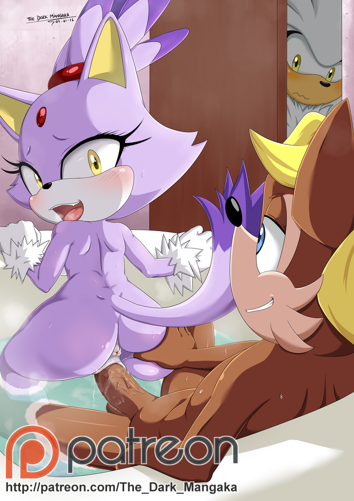 Rule34 – If it exists, there is porn of it / the dark mangaka, blaze the cat, silver the hedgehog / 195010