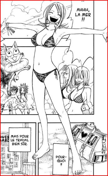 mashima hiro, elie, gray fullbuster, happy (fairy tail), julia (rave master), lucy heartfilia, fairy tail, rave (manga), poster, 00s, 1boy, 4girls, abs, bag, barefoot, beach, border, french text, greyscale, heart, key, monochrome, multiple girls, muscular, palm tree, red border, scanlation, swimsuit, text focus, tree, wanted poster