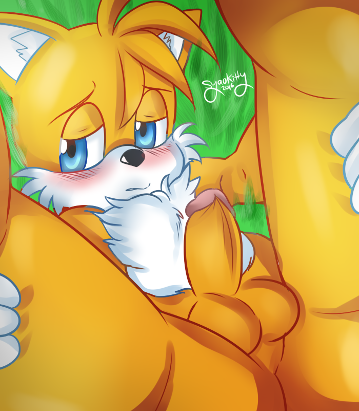 Rule34 – If it exists, there is porn of it / syaokitty, tails / 196087