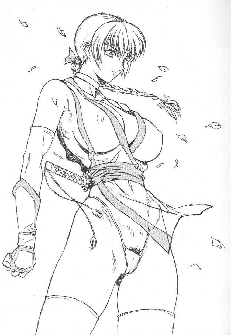 breeze, kasumi (doa), dead or alive, tecmo, jpeg artifacts, 1girl, breasts, cleavage, female focus, female pubic hair, gauntlets, greyscale, large breasts, long hair, monochrome, ninja, panties, petals, pubic hair, sketch, solo, sword, thighhighs, thong, underwear, weapon, wind, wind lift