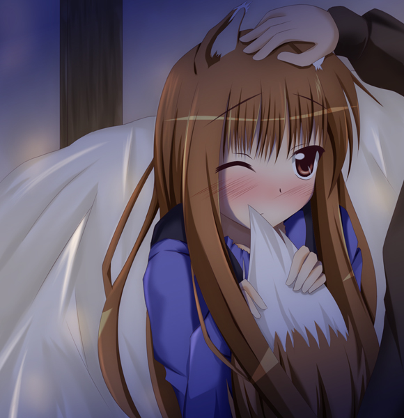 narumi (artist), narumi yuu (imitmoon), holo, spice and wolf, hand on head, 00s, 1girl, animal ears, blush, brown hair, headpat, long hair, one eye closed, solo focus, tail, wink, wolf ears, wolf tail
