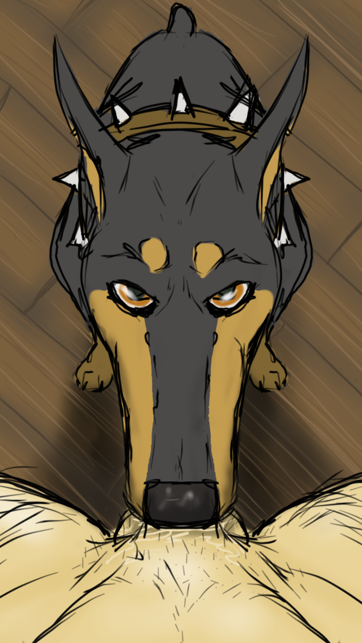 Rule34 – If it exists, there is porn of it / dangerdoberman / 196390