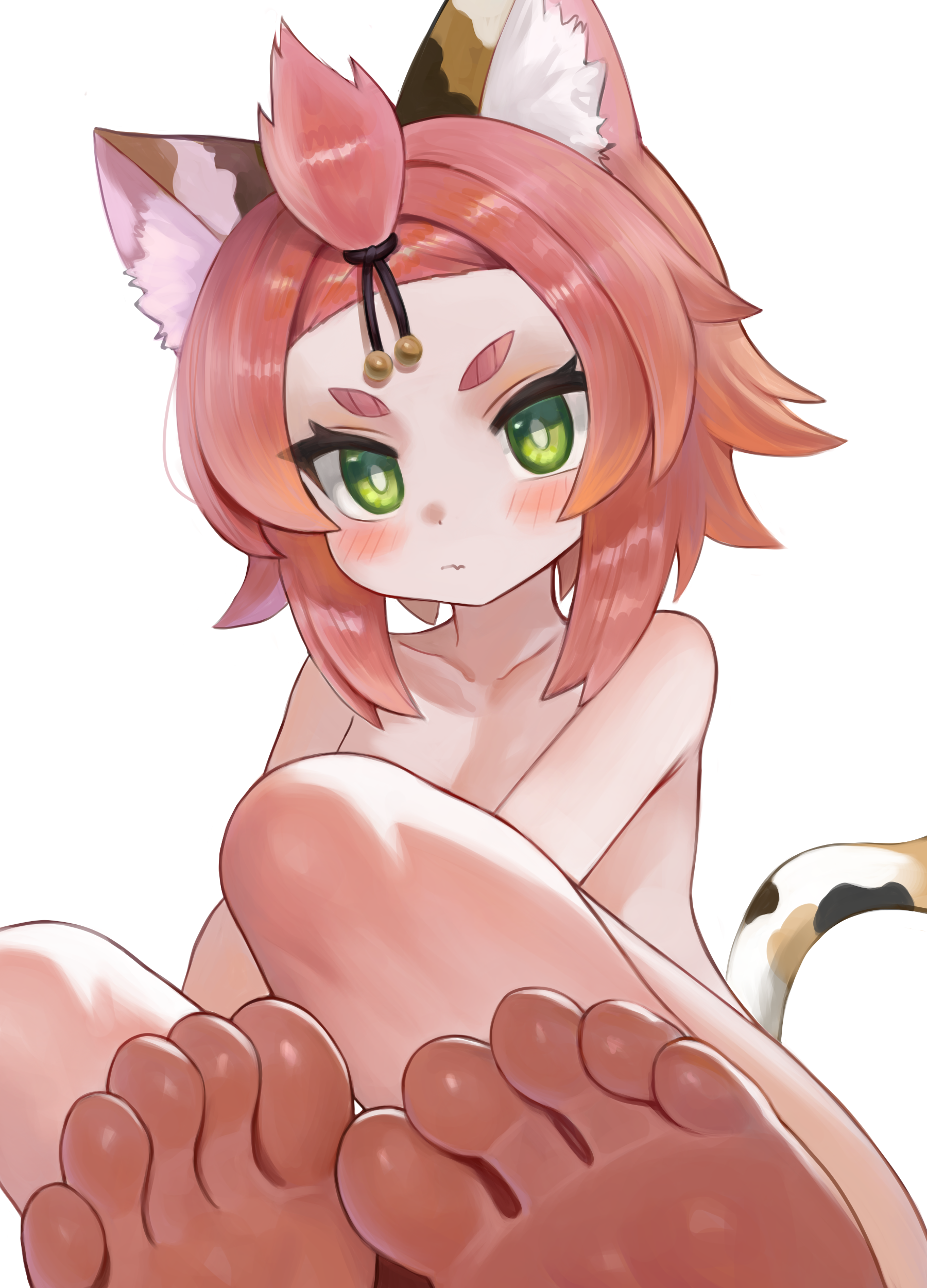 dokomon, diona (genshin impact), genshin impact, 1girl, animal ear fluff, animal ears, bangs pinned back, barefoot, blush, breasts, bright pupils, cat ears, cat girl, cat tail, closed mouth, collarbone, completely nude, eyelashes, fang, feet, flipped hair, foot focus, forehead, green eyes, knees up, looking at viewer, medium hair, nude, pink hair, short eyebrows, simple background, sitting, skin fang, small breasts, soles, tail, toes, v-shaped eyebrows, white background, white pupils