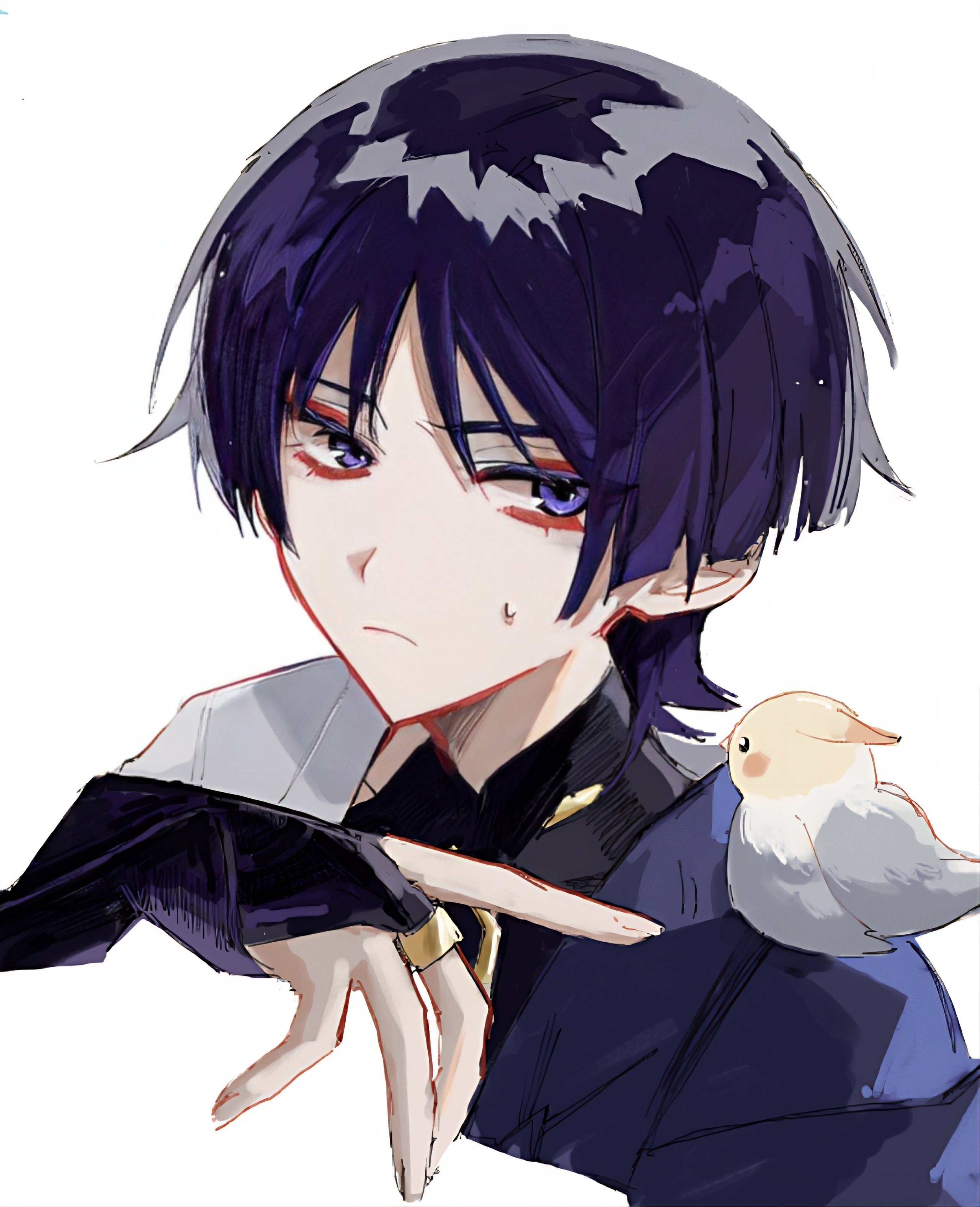 ego (ego inp), scaramouche (genshin impact), wanderer (genshin impact), genshin impact, absurdres, highres, 1boy, animal, animal on shoulder, bird, bird on shoulder, black bodysuit, blunt ends, bodysuit, bridal gauntlets, cape, closed mouth, colored eyelashes, covered collarbone, cropped torso, disembodied hand, eyeliner, eyeshadow, finch, fingernails, gold ring, japanese clothes, kimono, looking at animal, makeup, male focus, mandarin collar, middle ring, purple bridal gauntlets, purple cape, purple eyes, purple hair, red eyeliner, red eyeshadow, shoulder peek, solo, sweatdrop, white background, white kimono, wispy bangs