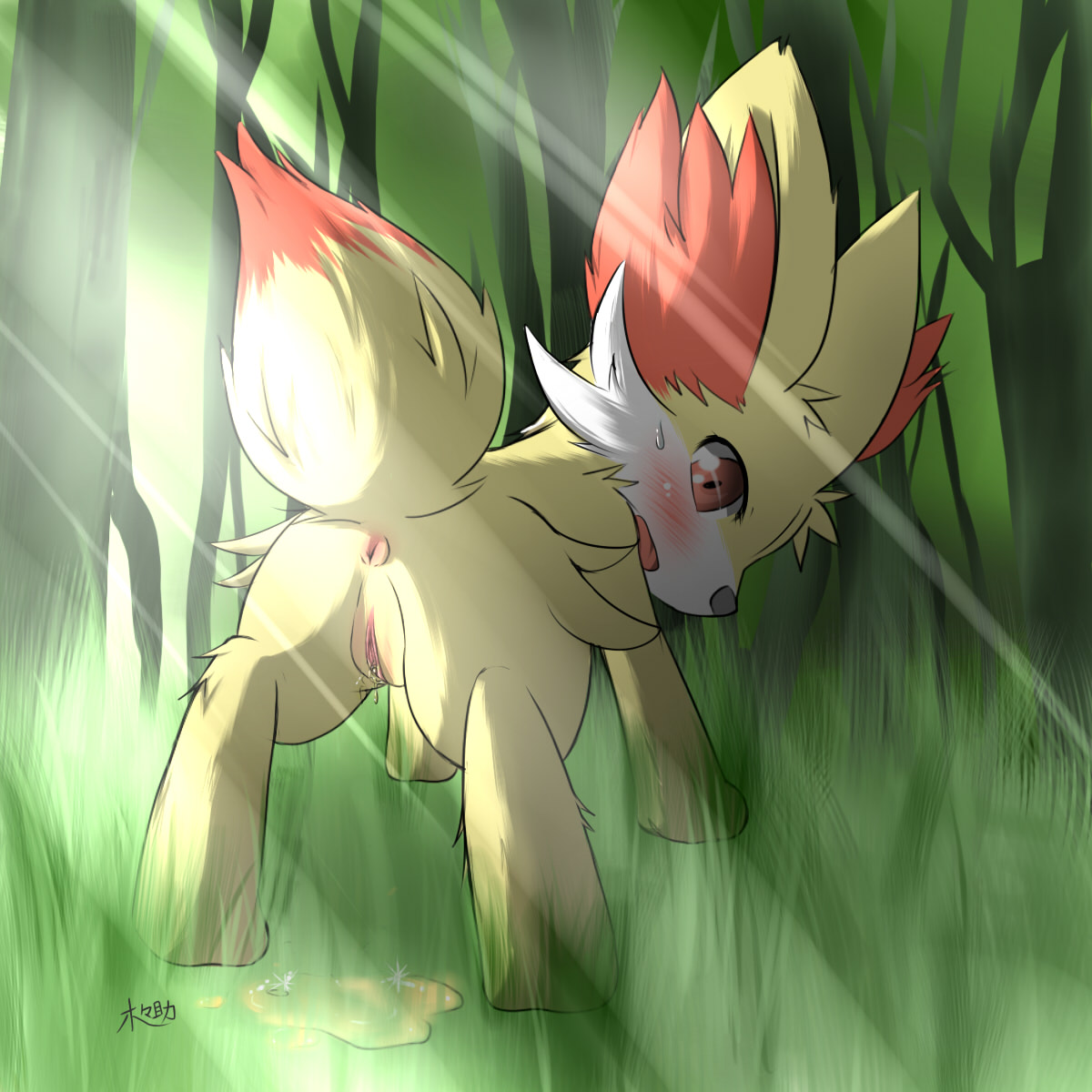 Rule34 – If it exists, there is porn of it / kigisuke, fennekin / 197737