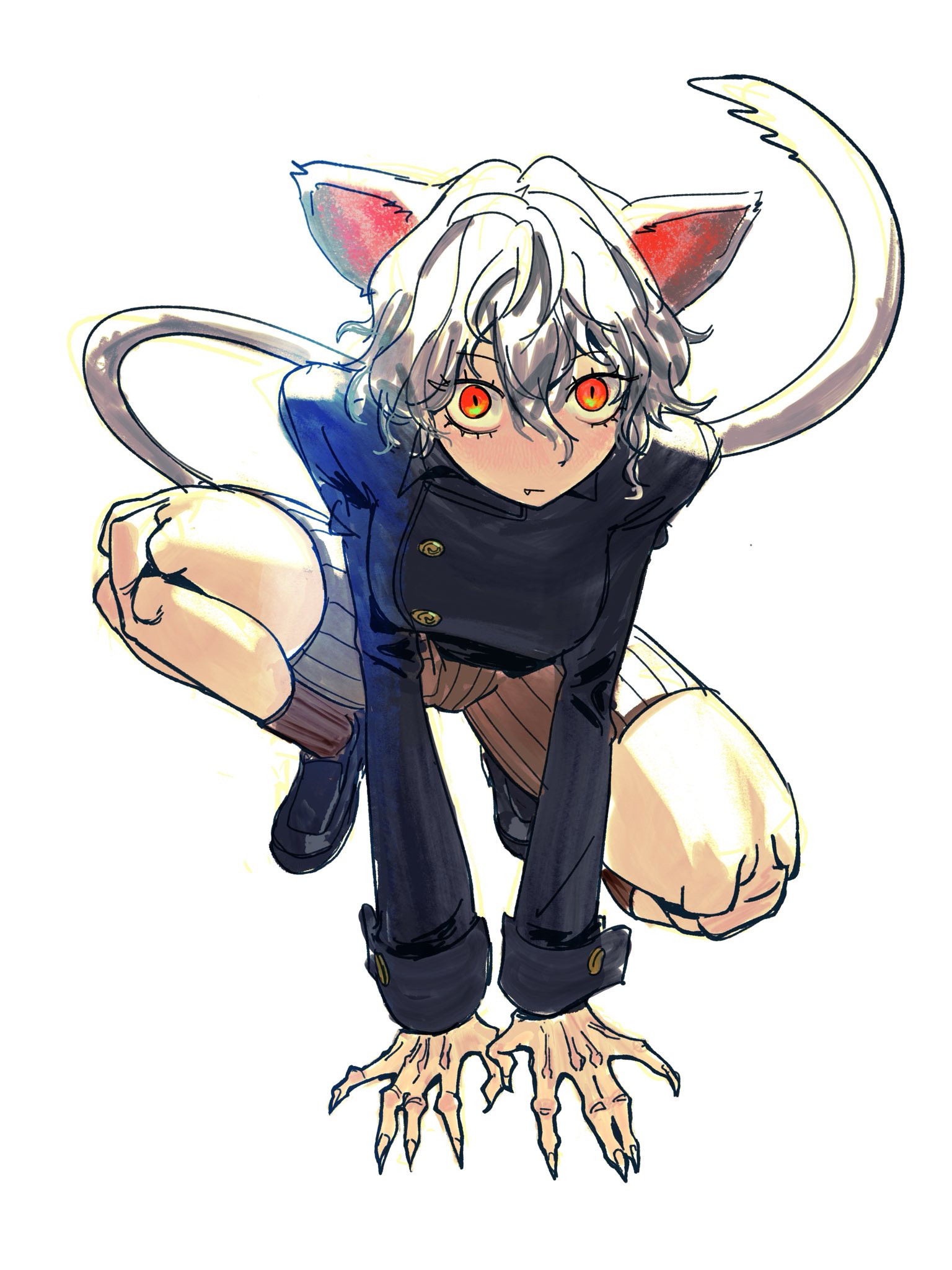 edpan, hunter x hunter, commentary, english commentary, highres, 1other, animal ears, arthropod girl, arthropod limbs, blue jacket, breasts, cat ears, cat girl, cat tail, eyelashes, full body, jacket, looking at viewer, medium breasts, orange eyes, shoes, short hair, simple background, slit pupils, solo, tail, white background, white hair