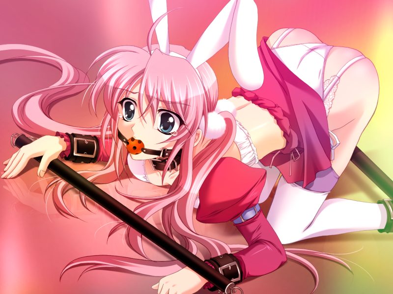 kanna (plum), hiura youko, reijou club, game cg, 1girl, all fours, animal ears, ball gag, bdsm, blue eyes, bondage, bound, clothes lift, collar, cuffs, detached sleeves, fake animal ears, female focus, gag, gagged, garter belt, grey eyes, long hair, midriff, panties, pink hair, rabbit ears, skirt, skirt lift, solo, spanked, spreader bar, thighhighs, top-down bottom-up, twintails, underwear