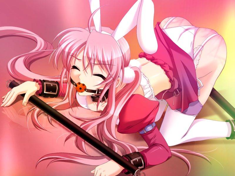 kanna (plum), hiura youko, reijou club, game cg, 1girl, all fours, animal ears, ball gag, bdsm, bondage, bound, closed eyes, clothes lift, collar, cuffs, detached sleeves, fake animal ears, female focus, gag, gagged, garter belt, long hair, midriff, panties, pink hair, rabbit ears, skirt, skirt lift, solo, spanked, spreader bar, thighhighs, twintails, underwear
