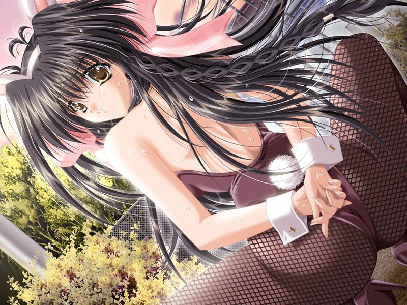akira (usausa), carnelian, kitano miyuki, darling, game cg, non-web source, 00s, 1girl, animal ears, ass, black hair, braid, brown eyes, dutch angle, fake animal ears, female focus, fishnet pantyhose, fishnets, long hair, pantyhose, playboy bunny, rabbit ears, solo, spread legs