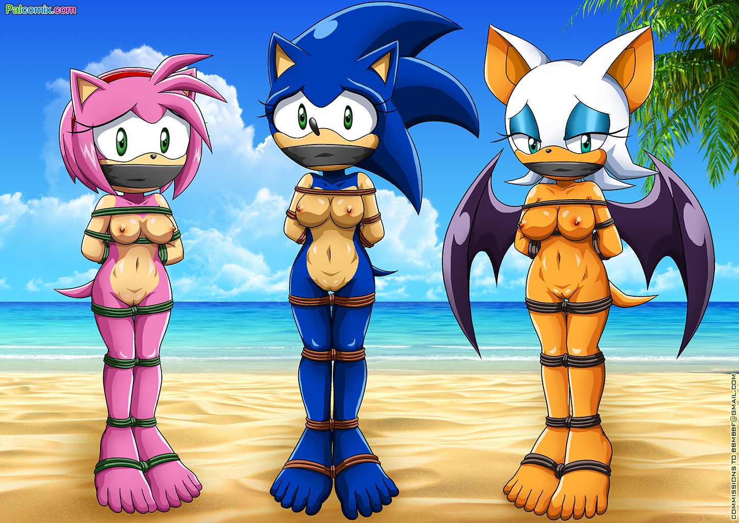 Rule34 – If it exists, there is porn of it / bbmbbf, palcomix, amy rose, rouge the bat, sonic the hedgehog / 198631