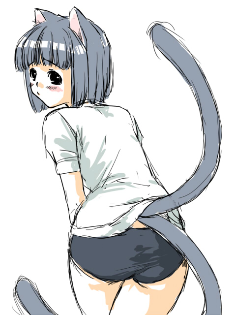 tagme, animal ears, buruma, cat ears, cat tail, sketch, solo, tail