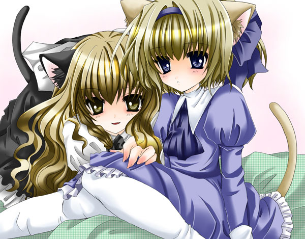 nanase nao, alice margatroid, kirisame marisa, touhou, bad id, bad pixiv id, 2girls, animal ears, blonde hair, blue eyes, cat ears, cat girl, cat tail, dress, female focus, gradient background, hairband, long hair, multiple girls, pantyhose, short hair, tail, white background, yellow eyes