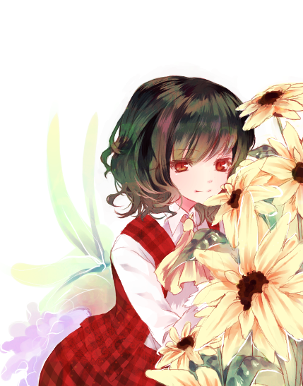 prino hawell, kazami yuuka, phantasmagoria of flower view, touhou, bad id, bad pixiv id, 1girl, ascot, female focus, flower, green hair, light smile, plaid clothes, plaid skirt, plaid vest, red eyes, short hair, skirt, skirt set, solo, upper body, vest