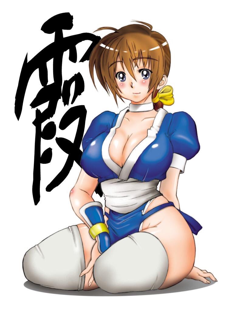 inoue shintarou, kasumi (doa), dead or alive, 1girl, blush, breasts, brown hair, cleavage, large breasts, long hair, looking at viewer, ninja, pelvic curtain, short sleeves, thighhighs, white background