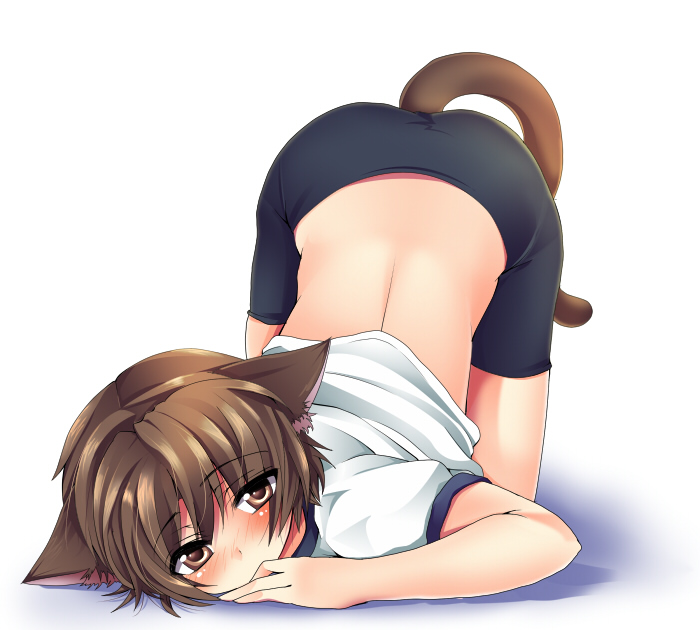 masayu, naoe riki, little busters!, 1boy, androgynous, animal ears, bike shorts, blush, bob cut, brown eyes, brown hair, cat boy, cat ears, cat tail, gym uniform, male focus, shadow, short hair, solo, tail, top-down bottom-up, trap