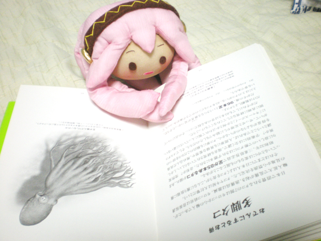 aoki juntarou, megurine luka, takoluka, vocaloid, bad id, bad pixiv id, photo (medium), unconventional media, book, book focus, figure (medium), no humans, squid, studying, stuffed toy