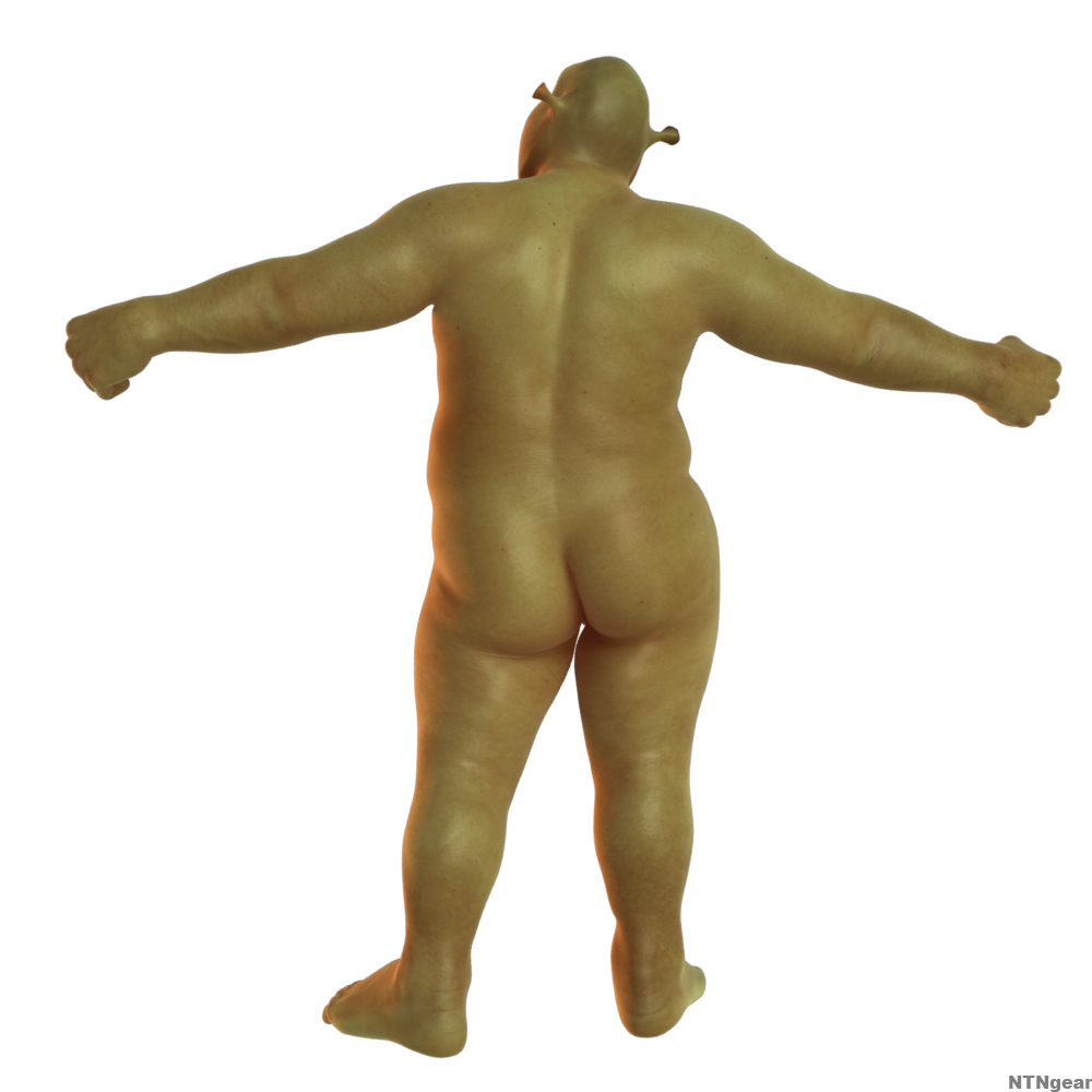Rule34 – If it exists, there is porn of it / bishyt, shrek (character) / 200469