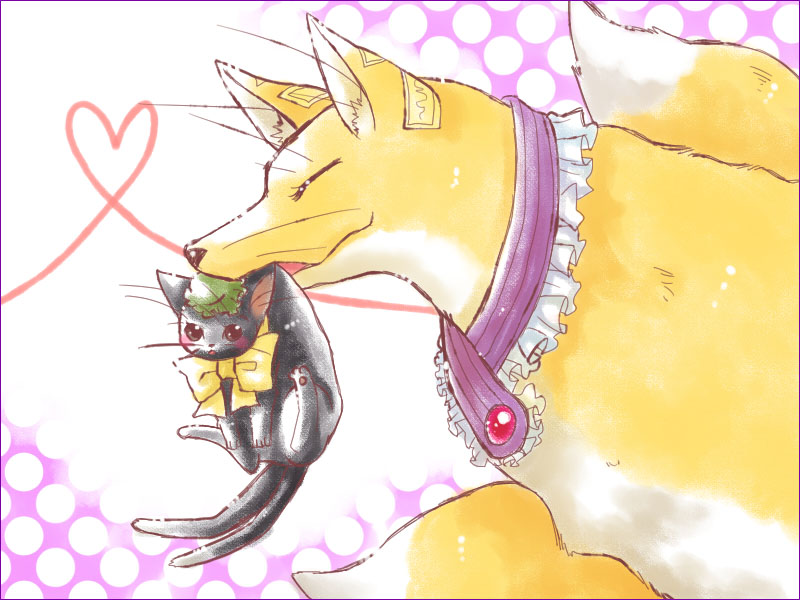 kirino, chen, chen (cat), yakumo ran, yakumo ran (fox), touhou, bad id, bad pixiv id, 2girls, blush, cat, cat tail, closed eyes, female focus, fox, fox tail, hat, heart, mouth hold, multiple girls, multiple tails, ribbon, tail, talisman, white background