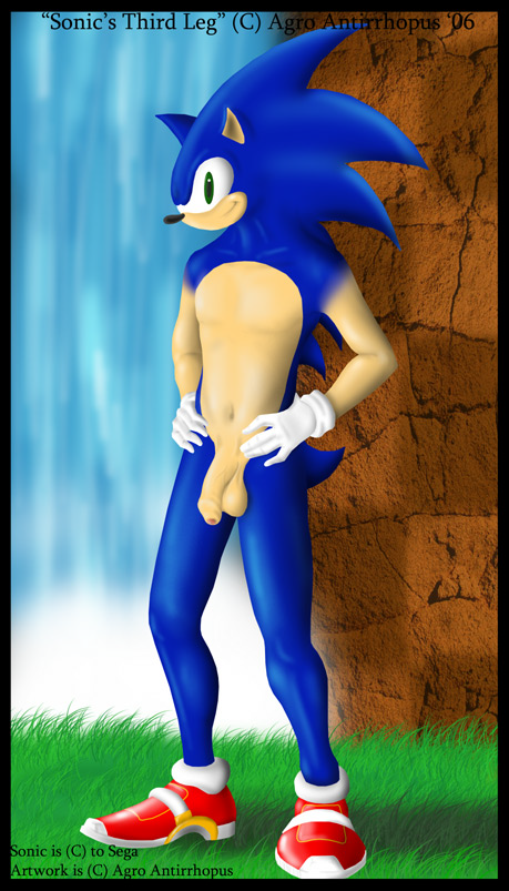 Rule34 – If it exists, there is porn of it / agro antirrhopus, sonic the hedgehog / 201095