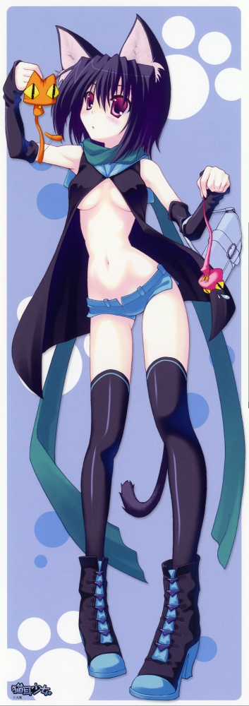nanao naru, animal ears, black theme, blue theme, cat ears, cat tail, jacket, tail
