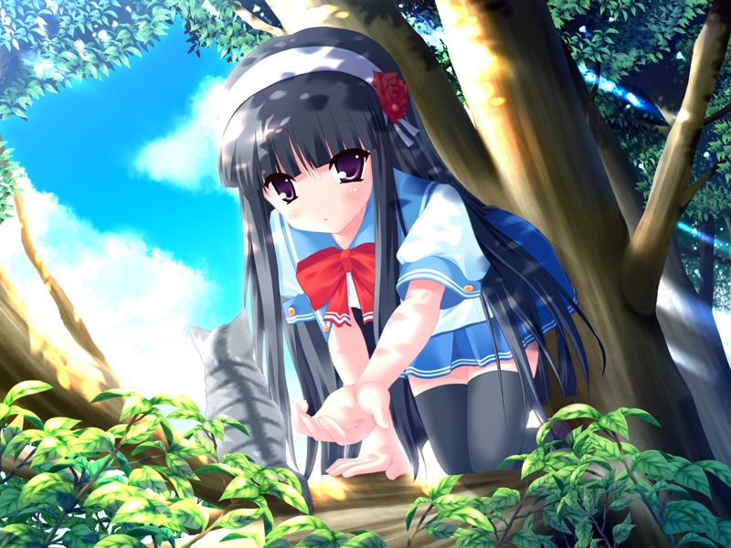 kagami sakuya, fairchild, game cg, non-web source, 1girl, all fours, black hair, cat, female focus, hairband, long hair, purple eyes, school uniform, solo, thighhighs, tree